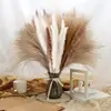 Bouquets de Flores Secas Más Vendidos, Juncos Pequeños, Hierba Cymbidium, Flores de Polvo, Decoración del Hogar para el Día del Maestro, Fábrica de Yunnan