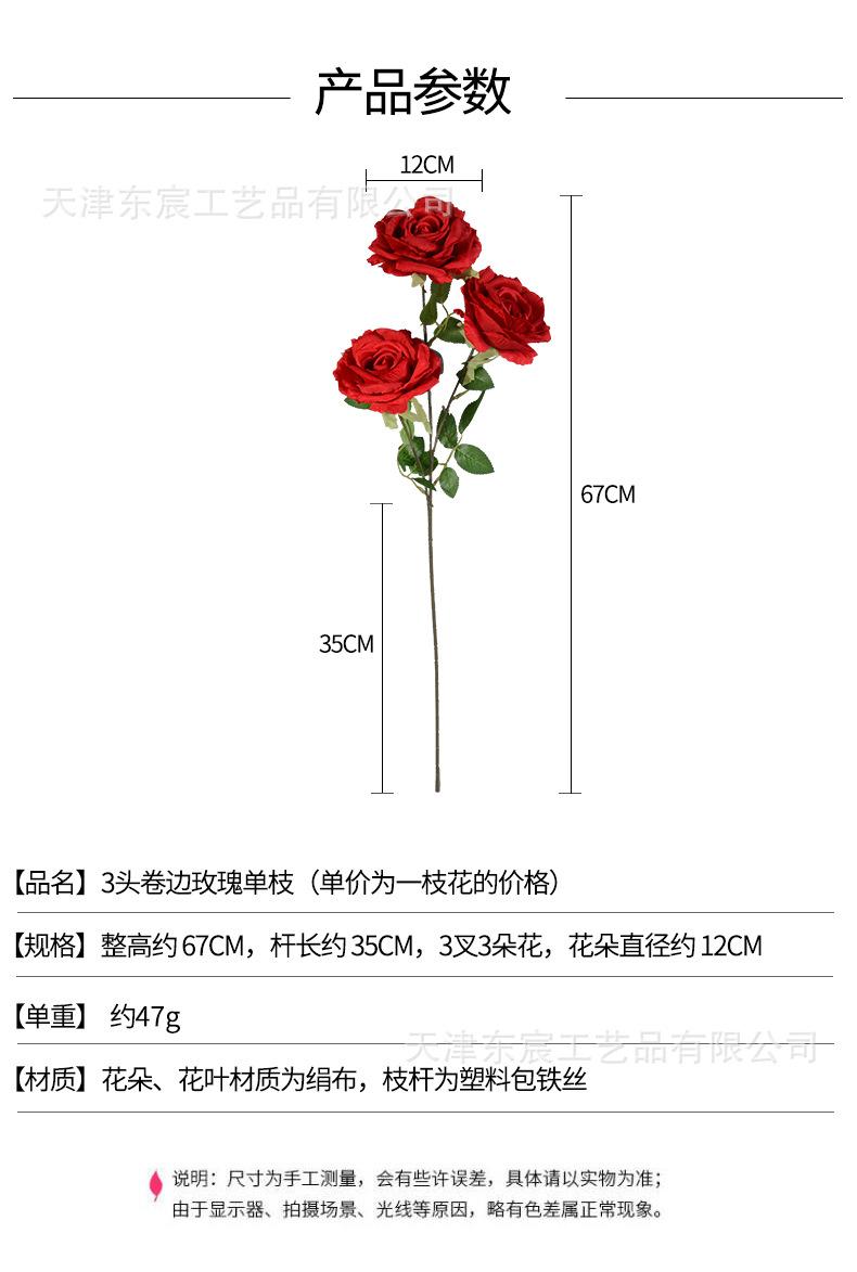 详情_01.jpg