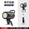 Luz suplementaria Rui Fu Tu de 120 W/200 W/300 W, luz suplementaria en vivo, fotografía, luz de fotografía siempre brillante, luz solar COB