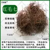 Hong Mao Qi Erva Medicinal Folha de Peônia Hong Mao Qi Osso de Galinha Cimicifuga Qi Dourado Asarum Hong Mao Mao Sou Shan Qi Vermelho Pan