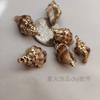 Concha con borde galvanizado, accesorios de joyería para hacer tú mismo, pendientes, colgante, concha natural creativa hecha a mano.