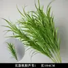 Plantas Verdes, Hierba de Junco, Hierba Bigote de Dragón, Fondo de Boda, Paisajismo de Ventana Floral, Flores Decorativas para Boda en Bosque Blanco y Verde