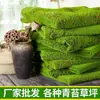Musgo Verde Artificial Musgo Azul Paisaje en Miniatura Planta de Bonsái Pared Decorativa Material para Paisajismo Césped Artificial Paquete
