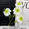 Flores de Clematis, Flores de Cordyceps, Flores Gesang de Cuatro Cabezas, Arte Floral con Gradiente de Dos Tonos, Decoraciones de Boda en el Jardín de Monet, 15 Colores Disponibles