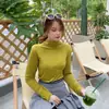 Blusa Segunda Pele Gola Alta para Mulheres, Outono e Inverno, Slim Fit Versátil, Roupa Íntima Simples de Manga Longa Alta Elasticidade