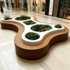 Combinação artística de assentos com floreiras para corredores de shoppings, bancos de lazer, lagos ornamentais com flores para complexos comerciais