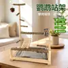 Soporte Interactivo de Escritorio para Loros Plataforma Multifuncional de Entretenimiento para Cacatúas y Periquitos para Jugar y Trepar