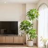 Simulación de Viento Silencioso Plantación Verde Árbol Lujo Ligero de Alta Gama Planta de Árbol Falso en Maceta para Interior Adornos Decorativos Grandes de Piso