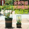 Treliça para plantas trepadeiras, suporte para casa interno e externo, suporte para planta cacto de Natal, protetor de folhas, haste de suporte para plantas em vaso
