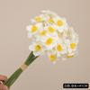 Simulação de flores, buquê de narcisos oceânicos, tecido de seda, narcisos, estilo pastoral, comércio exterior, AliExpress, Taobao, explosões, narcisos