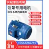 Sistema hidráulico eixo vertical motor da bomba de óleo estação hidráulica motor da bomba de óleo plug-in direto elétrico horizontal