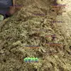 Medicina Herbal Chinesa Alcaçuz Macio Genuíno Novidades a Granel 500g Medicina Herbal Chinesa Autêntico Grama Macia para Fígado Grama Armadura de Ferro Feno Macio