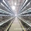 Asador Vertical Automático Jaula Tipo H para Pollo, Jaula para Codorniz, Jaula para Palomas, Jaula Tipo A para Pollos de Engorde, Jaula para Pollo de Huevo para Cría y Crianza en Granja