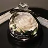Amazon Dia dos Namorados Flor Preservada em Cúpula de Vidro Rosa Real Produto Acabado Presente Criativo para Aniversário de Meninas e Festival Qixi