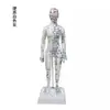 Fengfan 40cm Modelo de cuerpo humano de puntos de acupuntura de medicina china mapa de los doce meridianos modelo de puntos de acupuntura del cuerpo humano de cobre piel humana pequeña