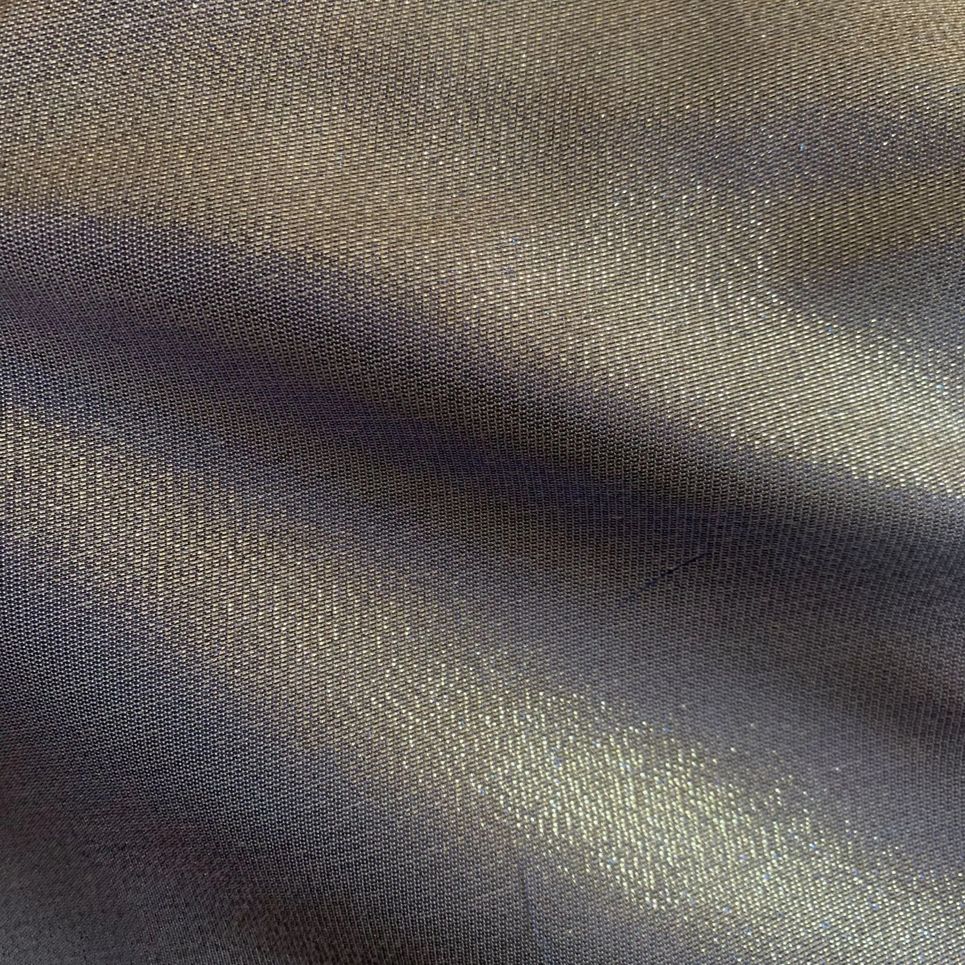 IMG_4461.JPG