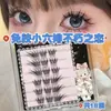 Pestañas Postizas Transfronterizas Amor Inmortal Pestañas Postizas de Gran Capacidad Estudiante Japonesas Segmentadas Finas Pestañas Postizas sin Pegamento