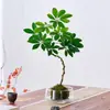 Planta Xu Huiji rosa com botões, planta em bola de musgo hidropônico, flor de interior em vaso para sala de estar e mesa de escritório, atacado