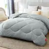 Relleno de edredón de invierno para cama doble, Edredón de algodón de invierno para cama individual, Relleno de edredón de primavera y otoño para dormitorio de estudiantes, Edredón para aire acondicionado, Engrosado y cálido para el invierno