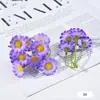 Ramo de Crisantemos Pequeños Arrugados Estilo Bosque Transfronterizo Flor Artificial DIY Material para Tocado de Flor Artificial 5 Accesorios de Guirnalda de Margaritas Pequeñas