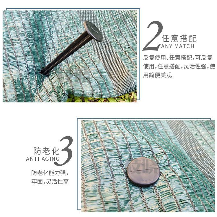 枝晓地钉_06.jpg