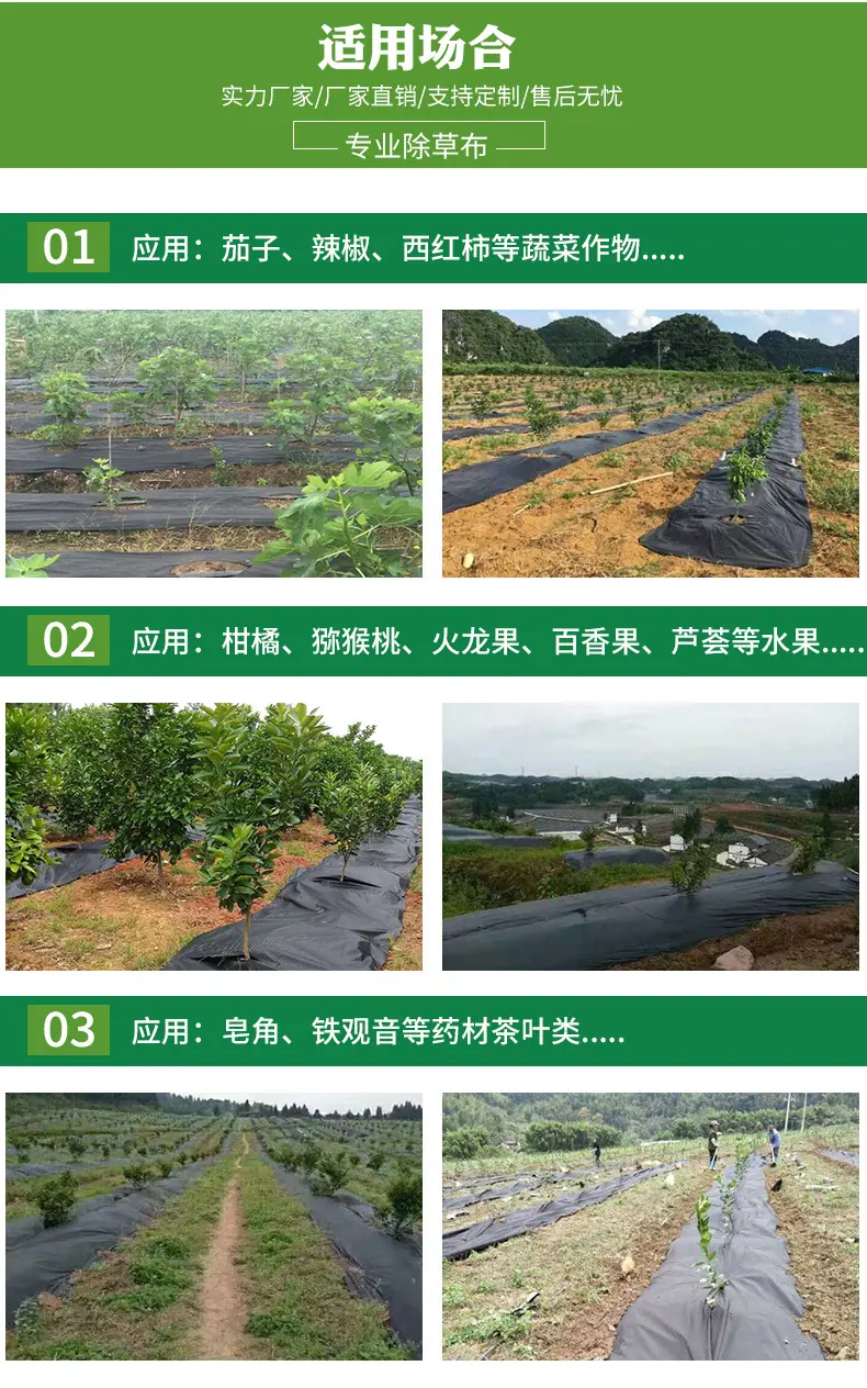 微信图片_20190527144532_06