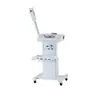 Spray Caliente Vertical Electroterapia de Alta Frecuencia Spray Absorbente de Grasa Loción Spray Instrumento de Belleza Multifuncional Cuatro en Uno