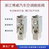Accesorios para Aire Acondicionado de Automóviles Adecuados para Chery Fengyun Válvula de Expansión Piezas de Aire Acondicionado Suministro Directo de Fábrica