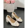 Elegantes Zapatos de Encaje Bordado con Cordones para Mujer, Tendencia 2026 Estilo Chino Nuevo Hanfu Zapatos Mary Jane de Tacón Grueso