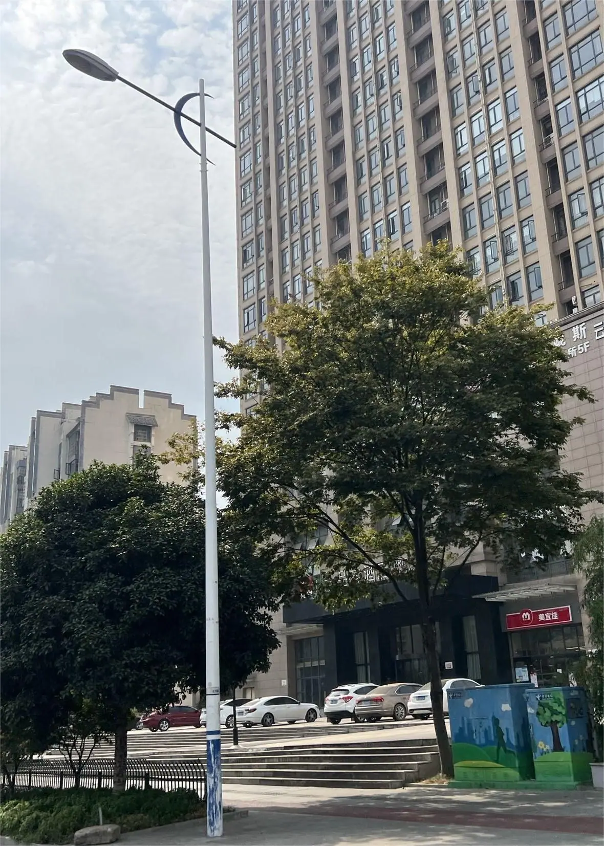 样图3