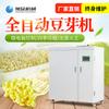 Máquina automática de brotes de frijol Xuzhong para uso comercial, máquina de brotes de frijol en caja, máquina de brotes de frijol mungo, máquina de brotes de soja, máquina de brotes de frijol multiusos