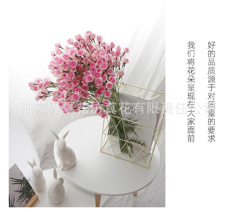详情图_19.jpg
