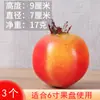Set de Modelo de Fruta de Plástico, Adornos de Fruta Falsa para Adorar a Guanyin Bodhisattva, Accesorios de Fruta