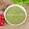 Polvo Puro de Hierba de Trigo, Polvo de Jugo Verde, Polvo Sustituto de Comida de Hojas de Cebada, Bebida Sólida, Alimento de Conveniencia, Fábrica de Origen, Pieza de 0.5 kg Pedido Mínimo