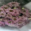 Atacado de Flores Margaridas Multicabeça, Entrega Direta de Yunnan, Cestas de Flores, Buquês, Arranjos para Vaso em Casa, Exposição em Banca, Compra em Grupo, Dropshipping de Uma Peça