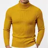 Suéter Masculino Europeu e Americano de Gola Alta para Outono e Inverno, Tricô Casual de Manga Longa, Camada Base Quente de Cor Lisa com Ponto Trançado