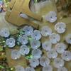 10m Aretes Florales de Tres Cuencos de Agua Dulce Naturales Tachuelas Accesorios para el Cabello Varios Accesorios de Bricolaje Cuentas Sueltas Flor de Concha Colgante Hanfu