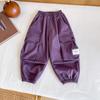 El Valle del Viento 2024 Invierno Nuevos Pantalones para Niños Pantalones Coreanos para Niños de Terciopelo Olímpico con Grulla Pantalones Casuales Holgados Personalizados para Niños