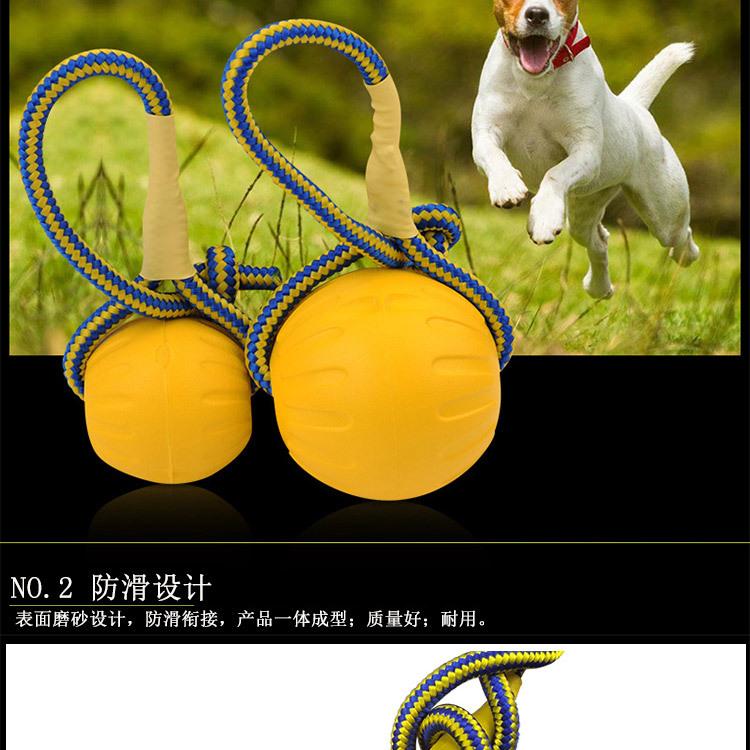 宠物球_05