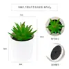 Más de 100 Tipos de Combinaciones de Plantas Suculentas Mini de Plástico Simuladas en Maceta, Mini Bonsáis Suculentos Más Vendidos Transfronterizos, Decoración para el Hogar, Adornos Creativos