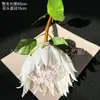 Flor Sobretudo Nova Flocagem Cabeça Supergrande Flor Artificial Flor Imperial da África do Sul Flor de Hall de Hotel Decoração de Casa Cruzamento