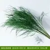 Verdor para Bodas Hierba de Bigote de Dragón Artificial de Alta Calidad, Hierba de Espárrago, Flores Artificiales, Estilo Bosque Verde Decoración de Jardín Monet, Arreglo Floral de Fondo, Guía de Camino