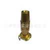 Boquilla para Tubería de Agua de Latón Boquilla de Garra de Latón Cabezal de Pistola de Pulverización de Garra Boquilla de Cambio Rápido