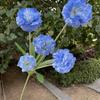Viento de océano azul flores de simulación para boda al por mayor azul oscuro azul zafiro azul bruma blanco boda camino guía techo flores falsas