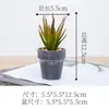 Planta Suculenta Artificial en Maceta, Bonsái Simple Personalizado para Decoración del Hogar, Planta Verde Artificial para Decoración de Interiores