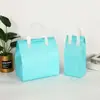 Bolsa Térmica Descartável para Levar em Tecido Não Tecido, Bolsa de Gelo Portátil para Piquenique ao Ar Livre com Folha de Alumínio, Conservação de Bolos