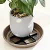 Almohadillas para pies de maceta, base aislante para maceta, base de plástico, soporte de base elevado, soporte transpirable para maceta para prevenir la pudrición de raíces