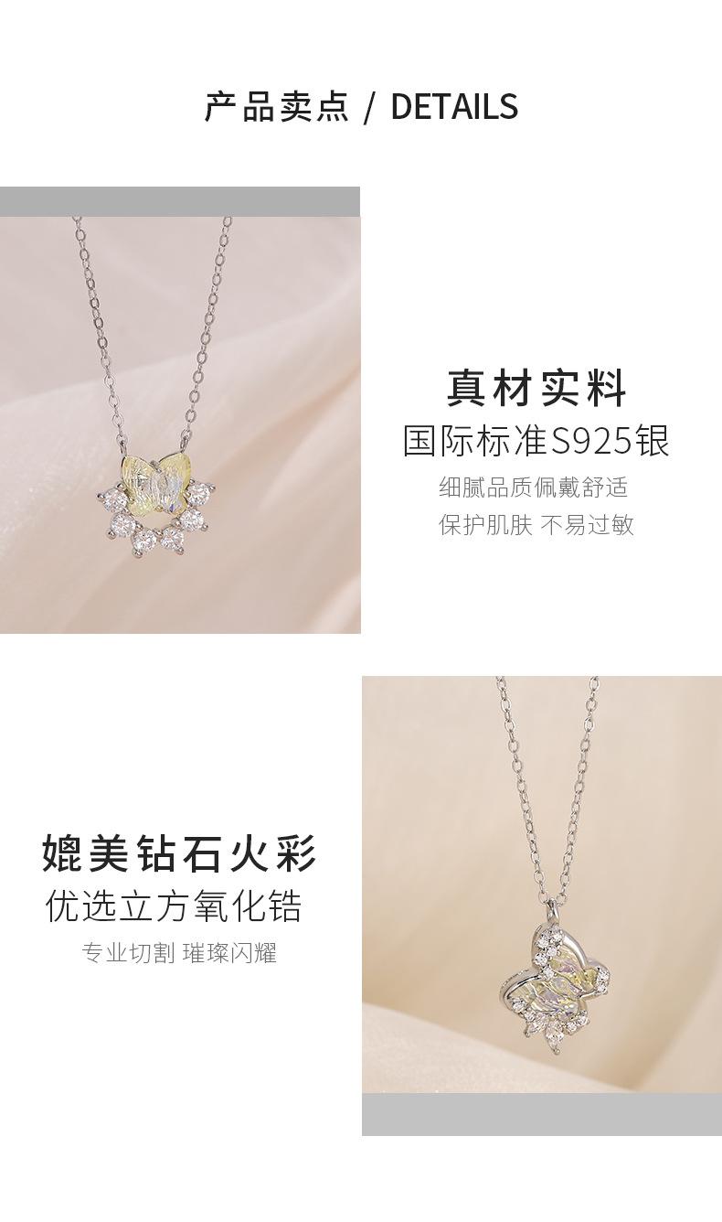 逐光蝴蝶_04.jpg