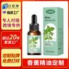 Aceites Esenciales de Aromaterapia Personalizados, Aceites Esenciales de Plantas Aromáticas, Botellas con Gotero de Comercio Exterior Transfronterizo, Aceites Esenciales para Aire Fresco, Procesamiento de Fabricante