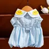 Modelo Nuevo 2026 Ropa para Gato con Rayas de Colores, Patrones de Conejo y Florales, Chaleco Delgado y Transpirable para Perros de Primavera/Verano